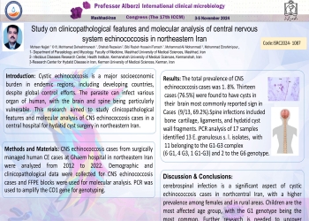 Study on clinicopathological features and molecular analysis of central nervous system echinococcosis in northeastern Iran