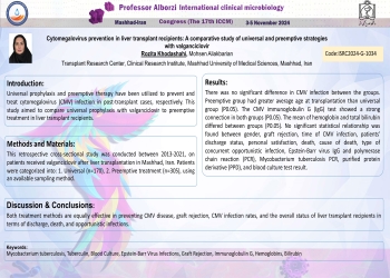 Cytomegalovirus prevention in liver transplant recipients: A comparative study of universal and preemptive strategies with valganciclovir