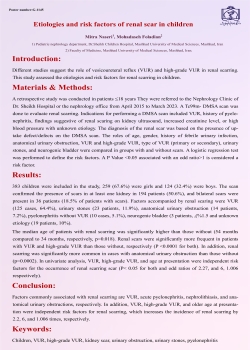 Etiologies and risk factors of renal scar in children