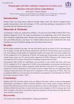 Demographic and clinico-radiologic comparison of urinary tract infections with and without nephrolithiasis 