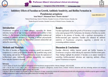 Inhibitory Effects of Fucoidan on Growth, Antibiotic Sensitivity, and Biofilm Formation in Pseudomonas aeruginosa